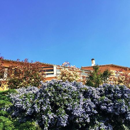 Le Petit Berthier Daire Gilhoc-sur-Ormeze Dış mekan fotoğraf